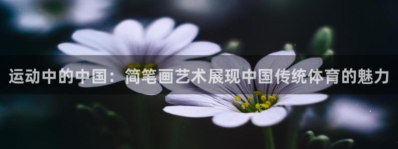 JJB竞技宝官网下载：运动中的中国：简笔画艺术展现中国传统体