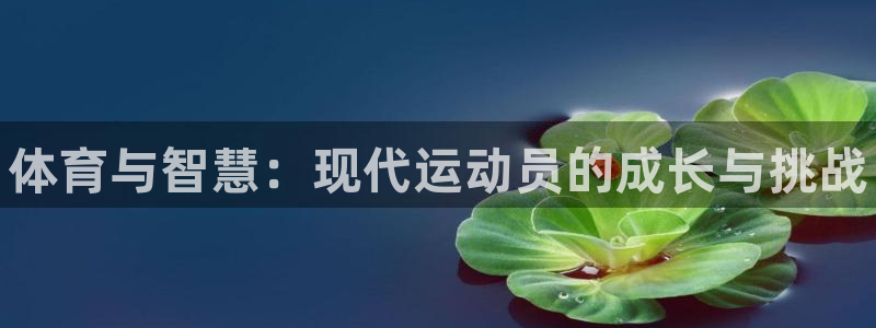 JJB竞技宝官方正版app集团E.ON：体育与智慧：
