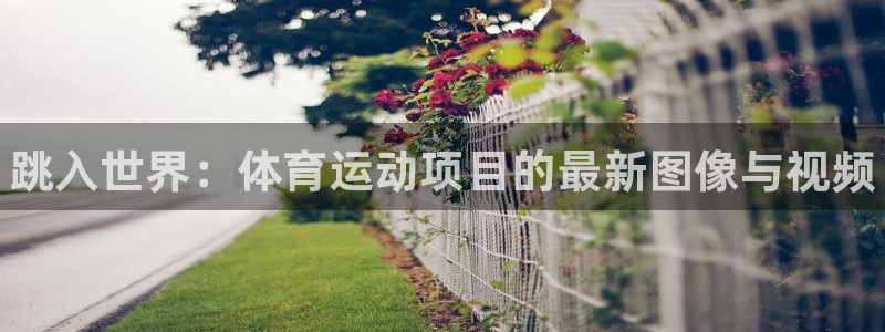 JJB竞技宝官网下载注册：跳入世界：体育运动项目的最