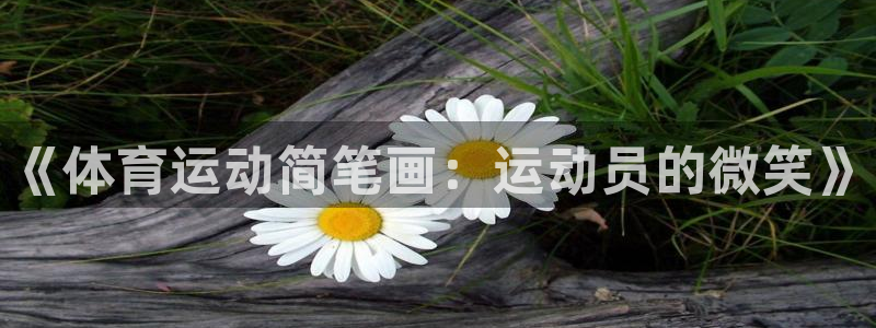 JJB竞技宝官方正版app集团logo：《体育运动简笔画：运