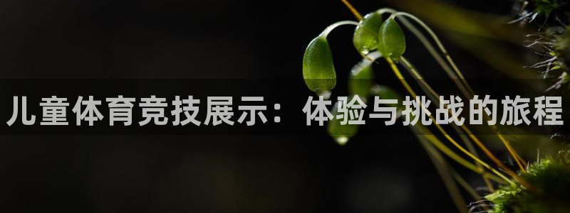 JJB竞技宝官方正版app娱乐下载：儿童体育竞技展示