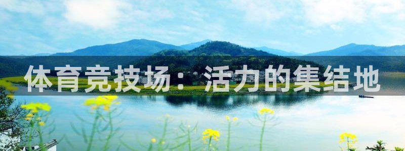 JJB竞技宝官方正版app新能源：体育竞技场：活力的集结地