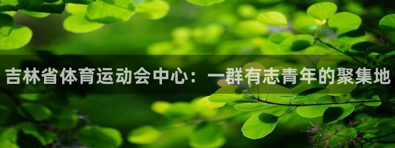 JJB竞技宝官方正版app娱乐网站：吉林省体育运动会