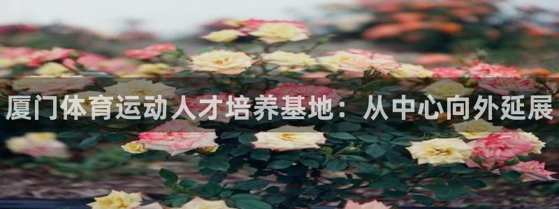 海南JJB竞技宝官网下载发展怎么样：厦门体育运动人才