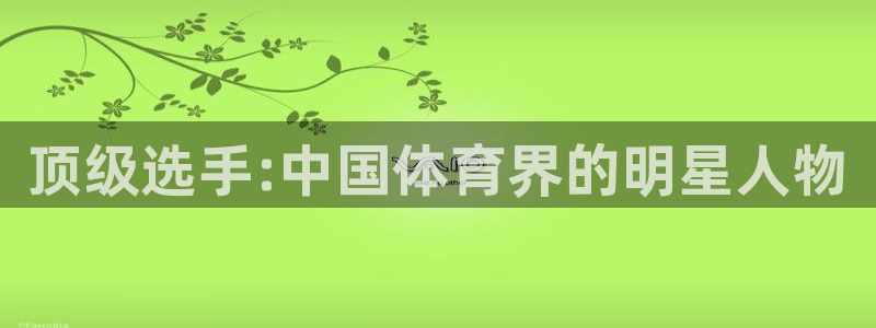 JJB竞技宝官网下载平台是正规平台吗：顶级选手:中国