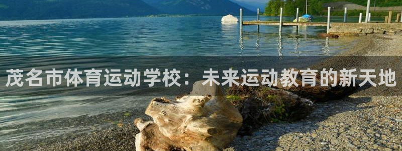 JJB竞技宝官方正版app娱乐首页官网下载：茂名市体