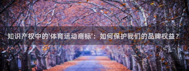 JJB竞技宝官方正版app集团简介：知识产权中的\'