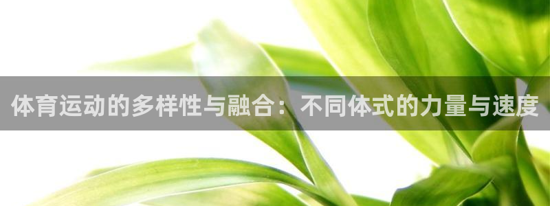 JJB竞技宝官网下载是干嘛的公司：体育运动的多样性与