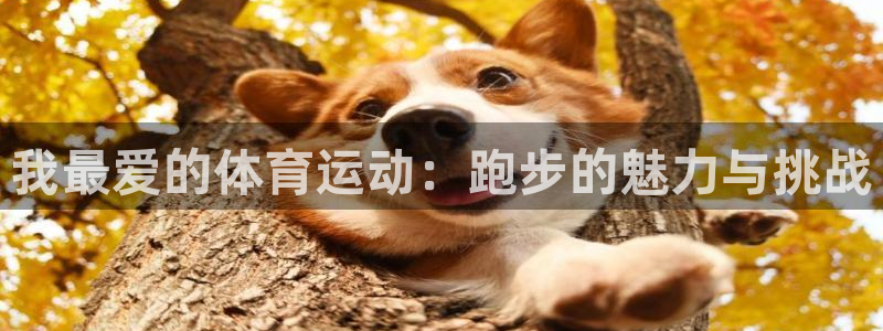 JJB竞技宝官网下载平台假的吗是真的吗：我最爱的体育