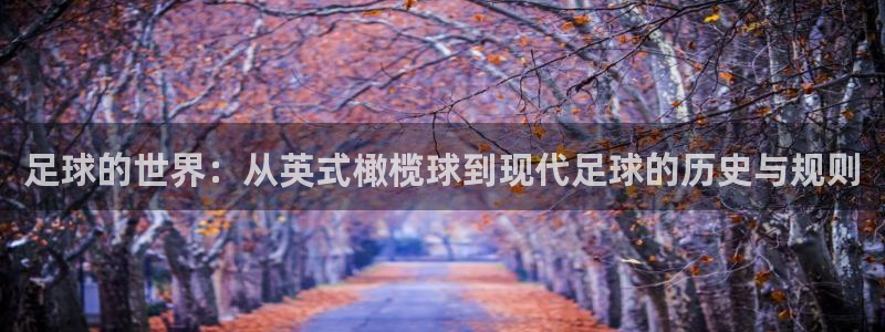JJB竞技宝官方正版app集团：足球的世界：从英式橄