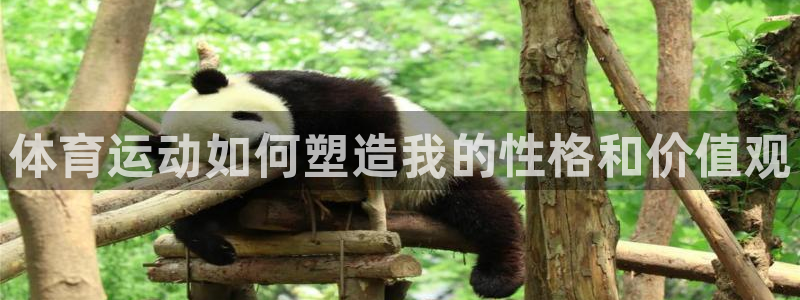 JJB竞技宝官网下载：体育运动如何塑造我的性格和价值观