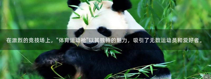 竞技宝官网app下载