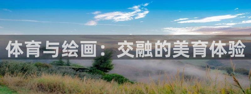 竞技宝登录入口官网