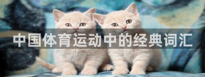 竞技宝门户网站