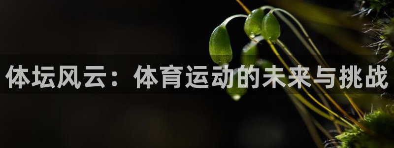 竞技宝app下载安装ios：体坛风云