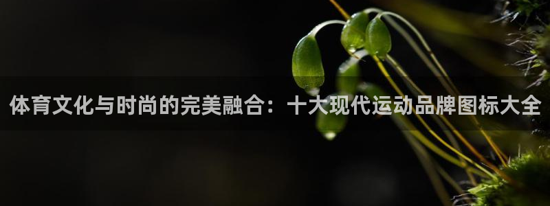 竞技宝进不去怎么回事：体育文化与时尚