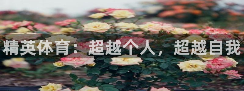 竞技宝黑吗：精英体育：超越个人，超越自我