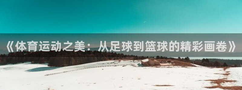  竞技宝手机端下载安装：《体育运动之美：从足球到篮球的精彩画卷