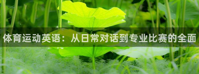  竞技宝下载：体育运动英语：从日常对话到专业比赛的全面