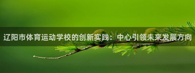  竞技宝安卓版：辽阳市体育运动学校的创新实践：中心引领未来发展