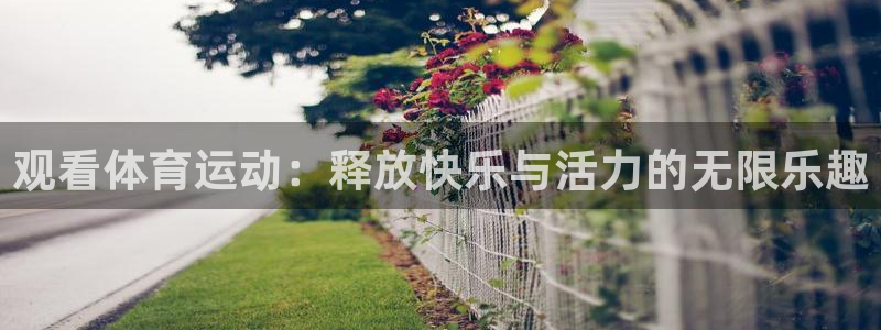 竞技宝会黑钱吗?：观看体育运动：释放快乐与活力的无限乐趣