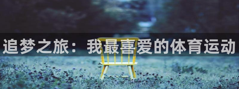竞技宝地址：追梦之旅：我最喜爱的体育