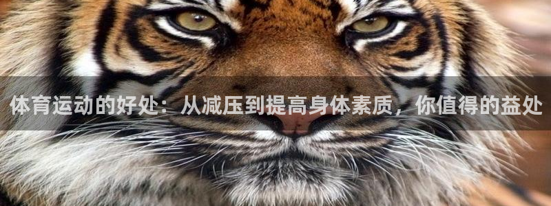 JJB竞技宝官方正版app娱乐40996:体育运动的好处:从