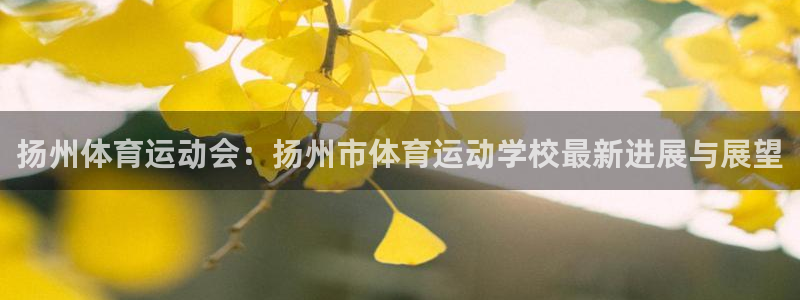 JJB竞技宝官方正版app集团简介:扬州体育运动会:扬州市体